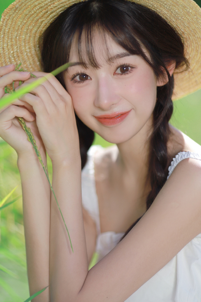 走向共和